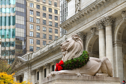Lion of New York Public Library with Christmas decorations
