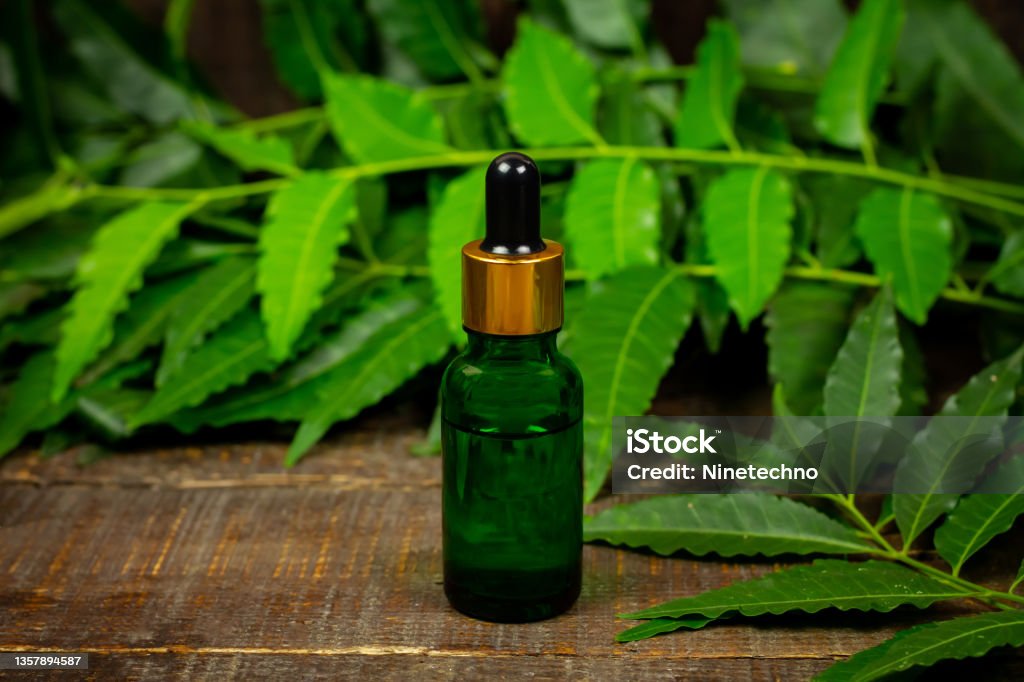 Neem oil in bottle and neem leaf with branch on wooden background. Neem Tree Stock Photo
