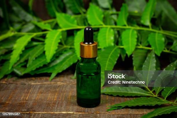 Neem Oil In Bottle And Neem Leaf With Branch On Wooden Background Stock Photo - Download Image Now