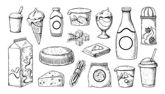 Milk sketch. Hand drawn dairy products in jugs and jars. Farm yogurt. Cottage cheese and butter engraving templates. Isolated whipped cream bottle and curd packaging. Vector natural healthy food set