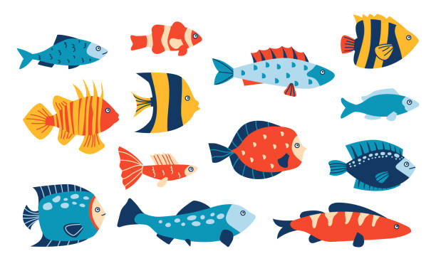 illustrazioni stock, clip art, cartoni animati e icone di tendenza di pesce di mare astratto. vari pesci tropicali marini e oceanici con motivo minimalista, collezione marina di diversi pesci per bambini illustrazione. vettore cartone animato fauna sottomarina set isolato - fish