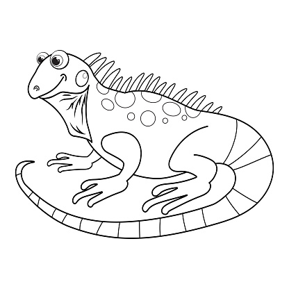 Imágenes prediseñadas de Iguana vector gratis