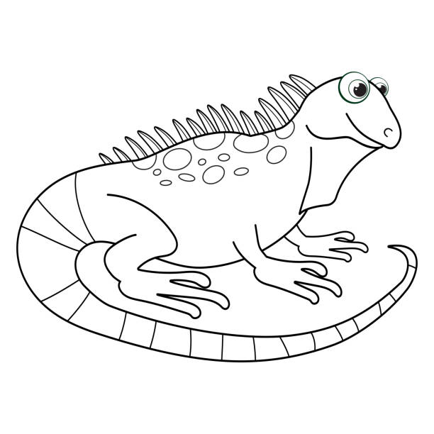 Colorless Cartoon Salamander Coloring Pages Template Page For Coloring Book  Of Funny Lizard Or Dragon For Kids Practice Worksheet Or Antistress Page  For Child Cute Outline Education Game Eps10 Stock Illustration -