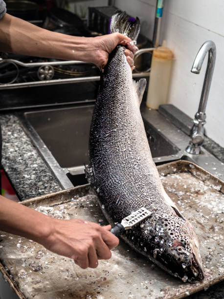 istock The chef's hand scaling a salmon with a scaler 1357896325