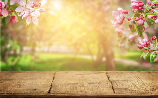 istock Spring background with flowering pink apple tree and empty wooden table. 1357896523