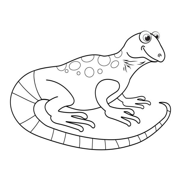 Ilustración de Lagarto De Dibujos Animados Incoloro Dibujos Para Colorear Página De Plantilla Para Colorear Libro De Iguana Divertida O Salamandra Para Niños Hoja De Trabajo De Práctica O Página Antiestrés Para Ilustración de Lagarto De Dibujos Animados Incoloro Dibujos Para Colorear Página De Plantilla Para Colorear Libro De Iguana Divertida O Salamandra Para Niños Hoja De Trabajo De Práctica O Página Antiestrés Para