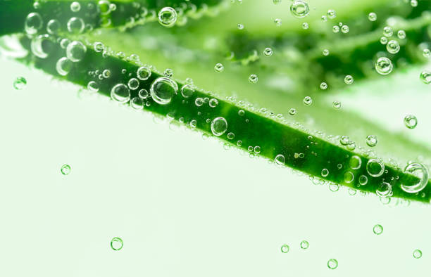 istock Macro shot of cucumber underwater with copy space. 1357897655