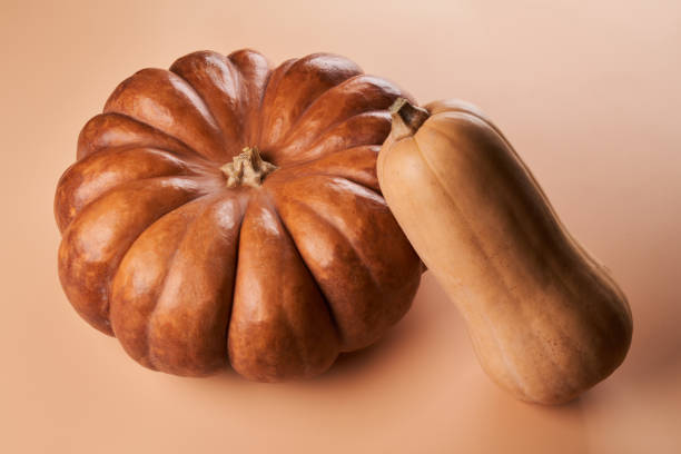 istock Two different whole ripe pumpkin closeup orange background 1357898007