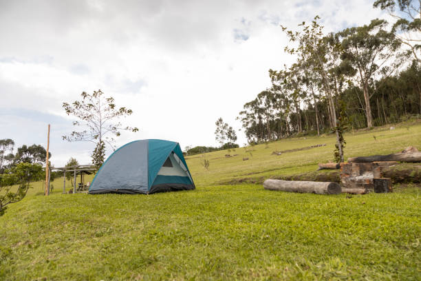 paesaggio con tenda su erba con alberi sullo sfondo, passatempo in mezzo alla natura, all'aperto e stile di vita, campeggio nel parco - travel nature rural scene outdoors foto e immagini stock