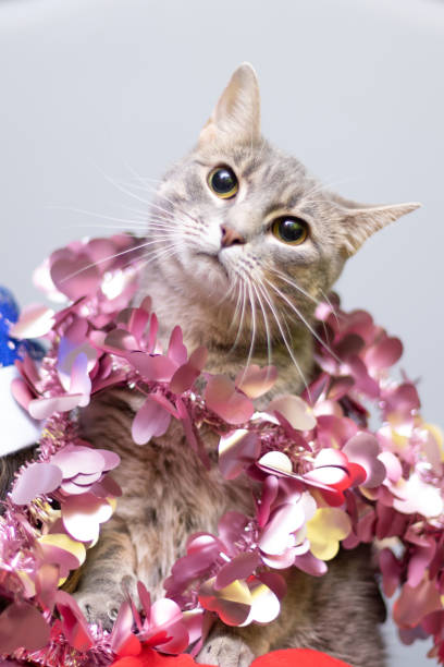 istock Funny cat in Christmas decorations. New Year 1357899508