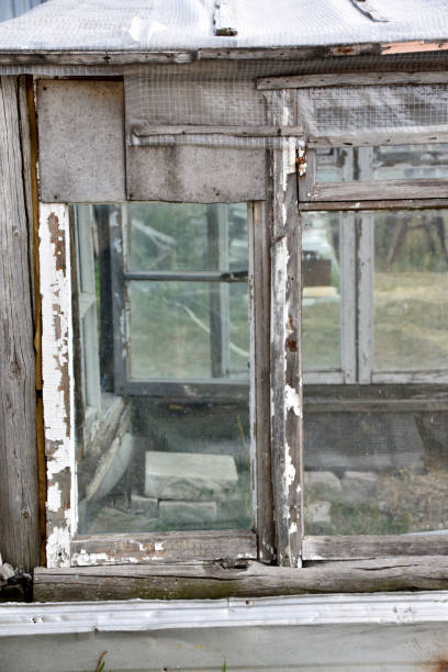istock Old wooden painted rotten windows with glass 1357900691