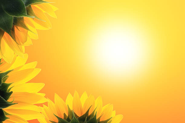 istock Morning of life 135790177