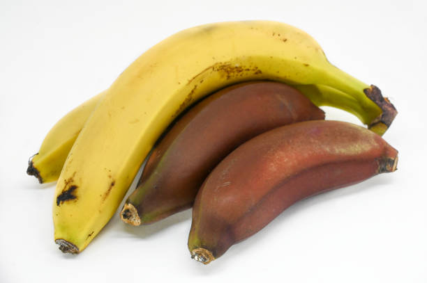 Yellow and red bananas on a white background