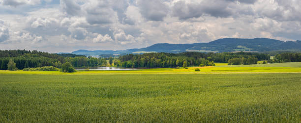 istock landscape with blue sky and clouds, pond and field 1357903591