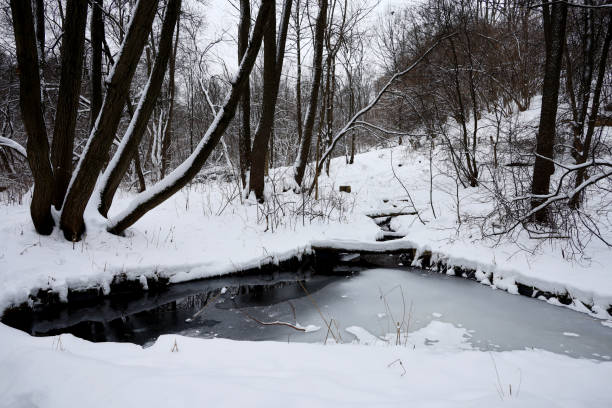 istock Winter forest with stream and pond with thin ice 1357907284