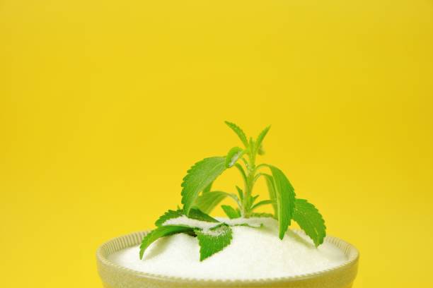 Fresh stevia branch in stevia powder in a round cup on a bright yellow background.sugar alternative.Organic natural low calorie sweetener.Stevia plants.Stevia green twig