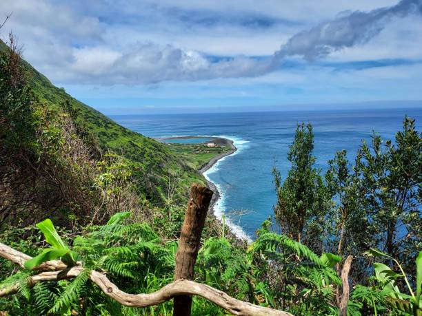 istock Sea coast panoramic view, on the top of a cliff, horizontal 1357908658