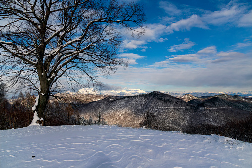 Winter view of the snowy  Kanin mountain, Primorska, Julian Alps, Slovenia, Europe