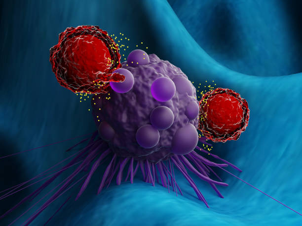 istock T cells attacking a cancer cell 1357911536