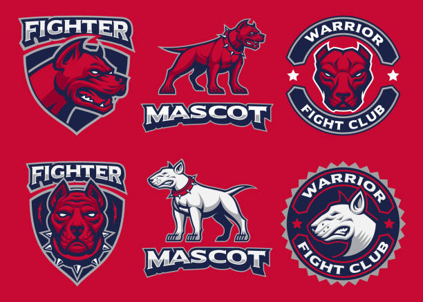Fighting Dogs Vector Mascots Fighting Dogs Vector Mascots, sports emblems pitbull graphic stock illustrations