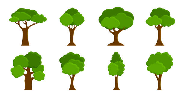 illustrations, cliparts, dessins animés et icônes de ensemble d’arbres plats. nature et arbres forestiers. icônes d’arbres verts pour le thème naturel. illustration vectorielle. - maple tree tree silhouette vector