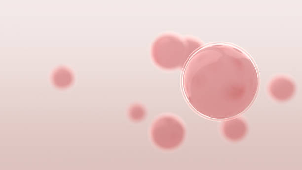Collagen Skin Serum