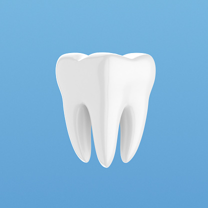 White Human Tooth
