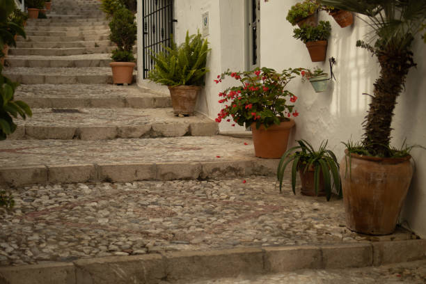 istock Flowers on the street 1357926041