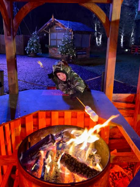 istock Boy and BBQ marshmallow at Christmas Market 1357926939