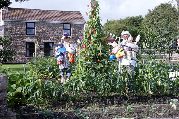 istock Scarecrow family guarding vegetable garden 135792744