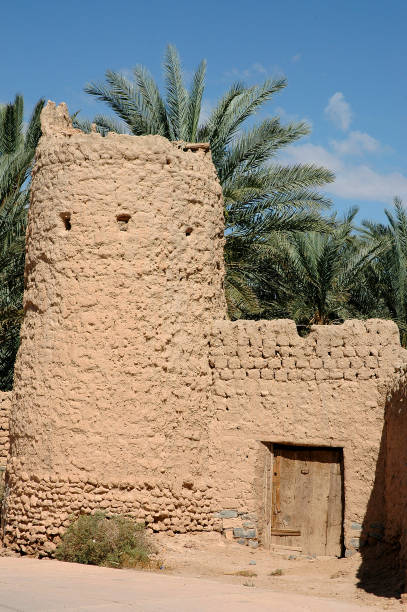 istock Palm grove of  Figuig in south-eastern Morocco 1357928643