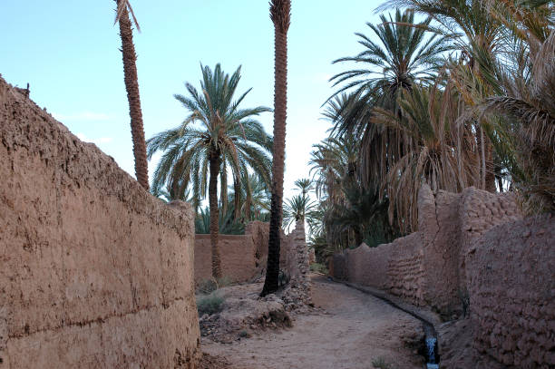 istock Palm grove of  Figuig in south-eastern Morocco 1357928722