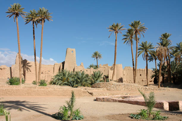 istock Palm grove of  Figuig in south-eastern Morocco 1357928780