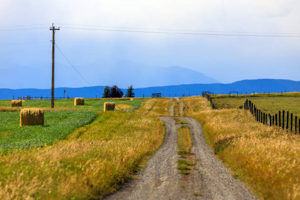 istock Canadian Prairies Landscape Alberta Canada 1357933893