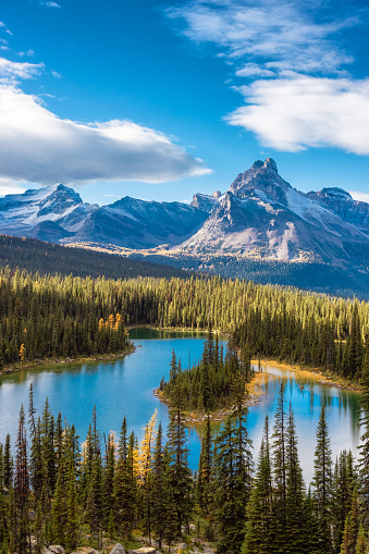 Scenic View of Glacier Lake with Canadian Rocky Mountains in Background. Sunny Fall Day. Located in Lake O'Hara, Yoho National Park, British Columbia, Canada.