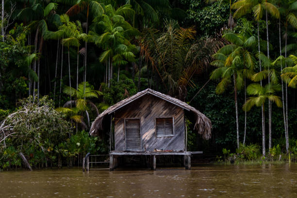 Traditional stilt houses on riverbanks in Amazon region of Brazil Melgaco, Para, Brazil - Nov 11, 2021: Traditional stilt houses on riverbanks in Amazon rainforest. Para state's common residences. Way of live in the Amazon. stilt house stock pictures, royalty-free photos & images