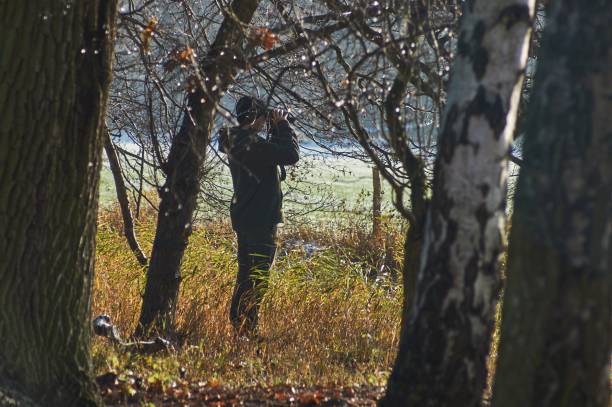 istock Nature observation in the winter forest 1357940561