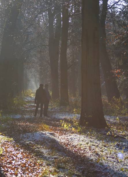 istock Nature observation in the winter forest 1357940603