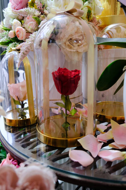 istock Red rose flower in a glass bell romantic gift 1357944608