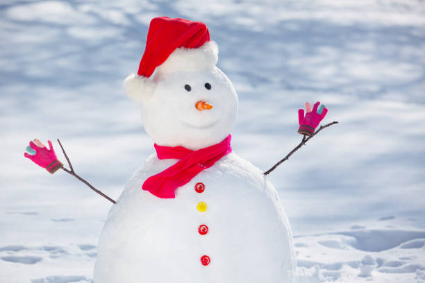 istock Decorated Snowman on a winter sunny day. 1357944620