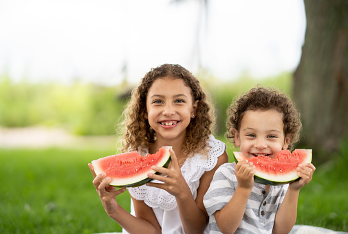 A sweet little girl and her younger brother sit outside on a picnic blanket as they each eat a slice of watermelon.  They are both dressed casually as they joyfully hold their watermelon up to their mouths.