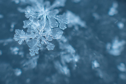 natural snowflakes on snow, photo real snowflakes