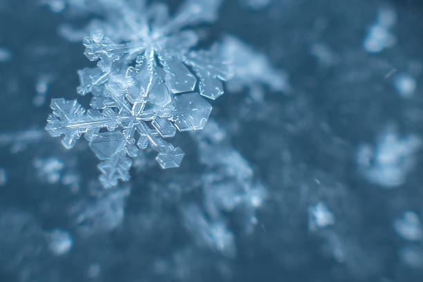 natural snowflakes on snow, photo real snowflakes natural snowflakes on snow, photo real snowflakes. Winter snow background. Snowflake Closeup. Macro photo. Copy space meteorology photos stock pictures, royalty-free photos & images