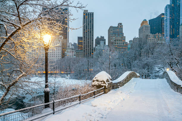 istock Gapstow Bridge in Central Park snow storm 1357950195