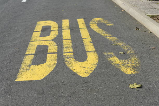 istock bus lane marking on the street 1357951542