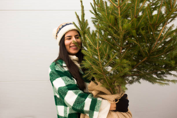 istock Perfect Christmas trees for our home 1357952885