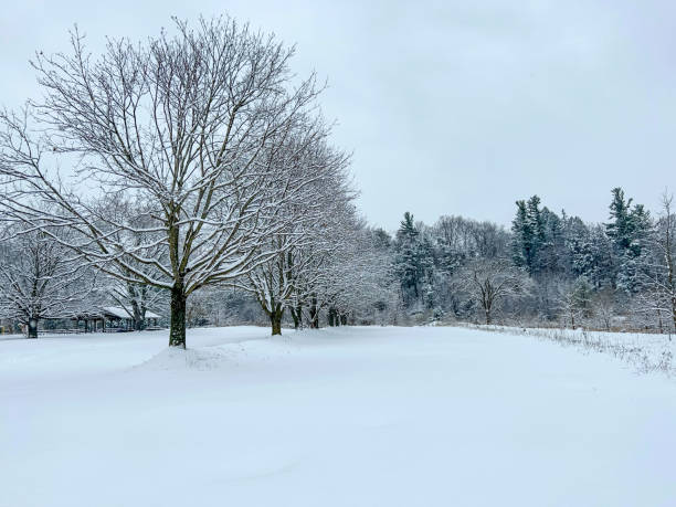 istock Boyd Conservation Park in winter, Woodbridge, Canada 1357954347