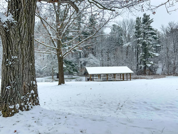 istock Boyd Conservation Park in winter, Woodbridge, Canada 1357954361