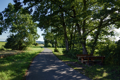 single lane road and a table with two benches between  trees