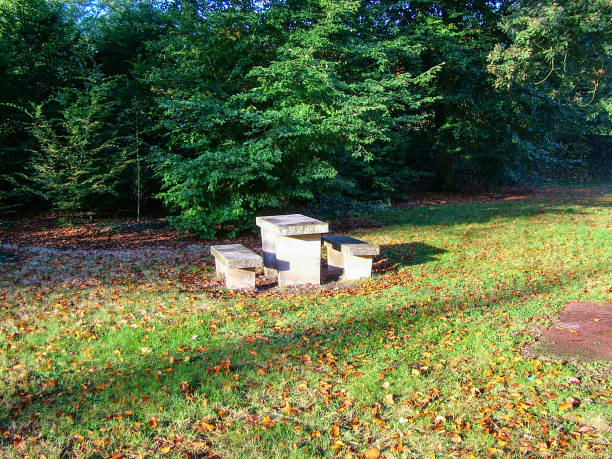 istock Stone table and two benches near the forest thickets 1357961513